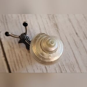 Snail Brooch Authentic LOOKING Shell on Brooch